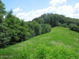 Lot 65AA Turtle Rd - Photo 9