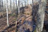  Sparta Hwy 31.65 +/- Acres - Photo 14