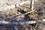  Sparta Hwy 31.65 +/- Acres - Photo 20