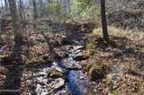  Sparta Hwy 31.65 +/- Acres - Photo 22