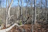 Sparta Hwy 31.65 +/- Acres - Photo 7