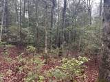  Northrup Falls Rd - Photo 11