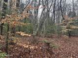  Northrup Falls Rd - Photo 12