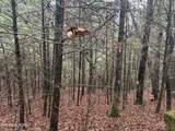  Northrup Falls Rd - Photo 14
