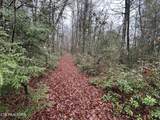  Northrup Falls Rd - Photo 26