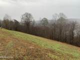 Lot 321 Sapphire Court - Photo 11