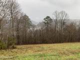 Lot 321 Sapphire Court - Photo 2