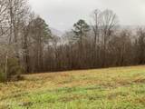 Lot 321 Sapphire Court - Photo 3