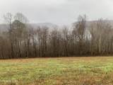 Lot 321 Sapphire Court - Photo 9