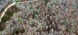 0 Rock House Rd - Photo 13