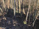 Lot 68 Yellowwood Drive - Photo 3