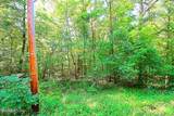 175 Pineridge Loop - Photo 1