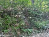Lot 22 Elderberry Drive - Photo 2