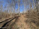 136 Toby Hollow Lane - Photo 11