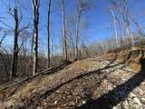 136 Toby Hollow Lane - Photo 29