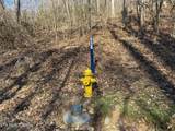 136 Toby Hollow Lane - Photo 30