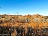 16.75 ac Euchee Road - Photo 11
