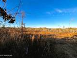 16.75 ac Euchee Road - Photo 12