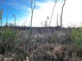 16.75 ac Euchee Road - Photo 13