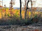 16.75 ac Euchee Road - Photo 16