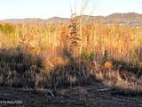 16.75 ac Euchee Road - Photo 18