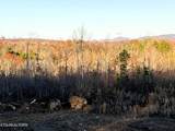 16.75 ac Euchee Road - Photo 19