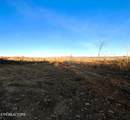 16.75 ac Euchee Road - Photo 21
