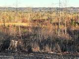 16.75 ac Euchee Road - Photo 23