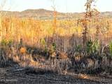 16.75 ac Euchee Road - Photo 25