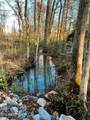 16.75 ac Euchee Road - Photo 3