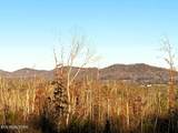 16.75 ac Euchee Road - Photo 4
