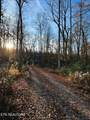 16.75 ac Euchee Road - Photo 6