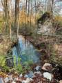 16.75 ac Euchee Road - Photo 7