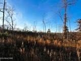 16.75 ac Euchee Road - Photo 8
