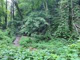  Black Walnut Flats Rd - Photo 1