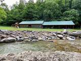  Black Walnut Flats Rd - Photo 10