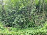  Black Walnut Flats Rd - Photo 2