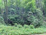  Black Walnut Flats Rd - Photo 3