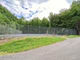  Black Walnut Flats Rd - Photo 5