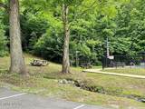  Black Walnut Flats Rd - Photo 6