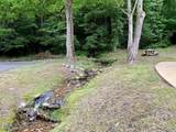  Black Walnut Flats Rd - Photo 7