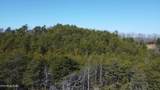 334 S Fork Branch Rd - Photo 11