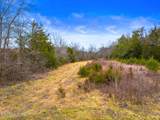 Lot 8 Lonesome Pine Rd - Photo 1