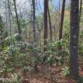 116 Stonegate Way - Photo 14