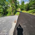 555 Forest Springs Drive - Photo 4