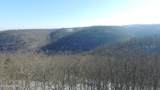  Bear Knob Rd - Photo 3
