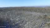  Bear Knob Rd - Photo 4