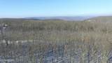  Bear Knob Rd - Photo 7