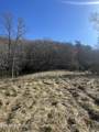 0 Brushy Valley Drive - Photo 1