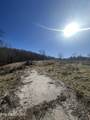0 Brushy Valley Drive - Photo 5